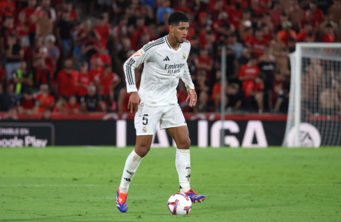 种热情的绝 种热情的绝