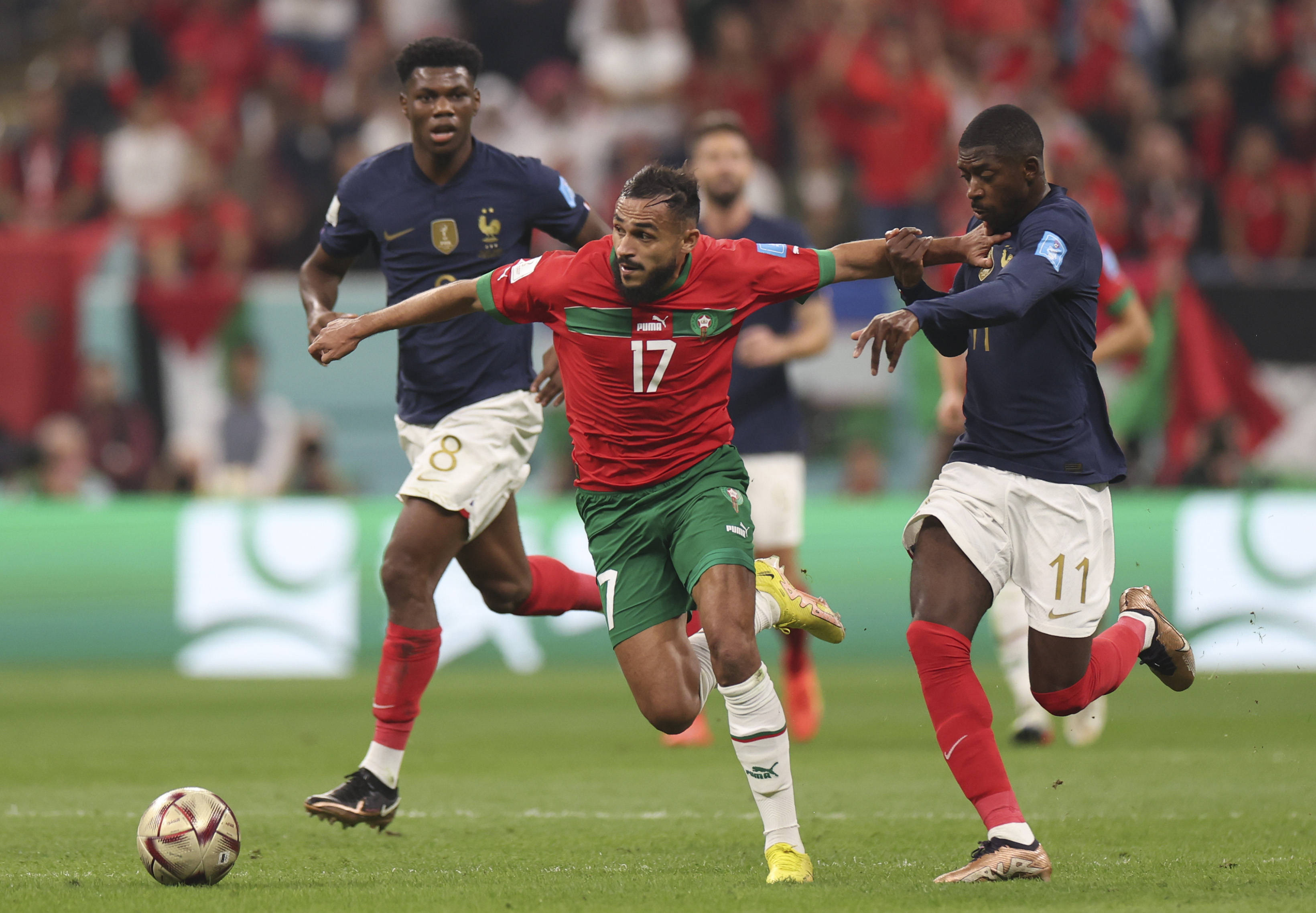 为赫罗纳的 为赫罗纳的