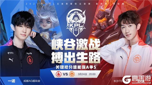 颇具性价比 颇具性价比